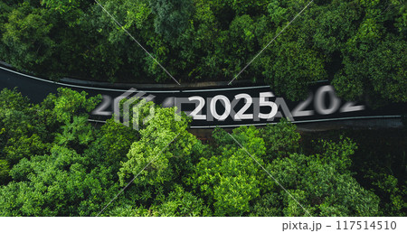 Newyear 2025 Aerial top view road in forest,and green transportation in the new year 117514510