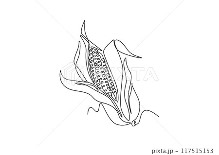 Continuous one line drawing whole peeled healthy organic corn crop for farm or field logo identity. Fresh maize concept for starchy vegetable icon. Single line draw design vector graphic illustration Continuous one line drawing whole peeled healthy organic corn crop for farm or field logo identity. Fresh maize concept for starchy vegetable icon. Single line draw design vector graphic illustration 117515153