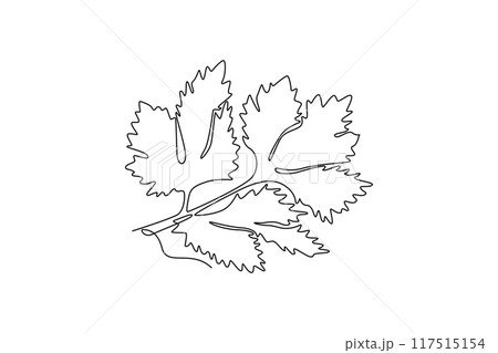 Continuous one line drawing bunch healthy organic green celery for groceries shop logo identity. Fresh marshland plant concept for vegetable icon. Single line draw design vector graphic illustration Continuous one line drawing bunch healthy organic green celery for groceries shop logo identity. Fresh marshland plant concept for vegetable icon. Single line draw design vector graphic illustration 117515154