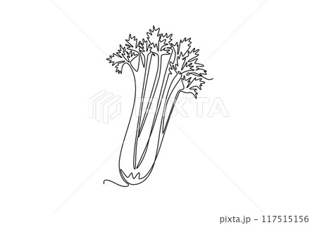 Continuous one line drawing bunch healthy freshness organic green celery for farm logo identity. Fresh marshland plant concept for vegetable icon. Single line draw design vector graphic illustration 117515156