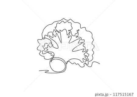 Single one line drawing whole healthy organic green broccoli for groceries logo identity. Fresh edible green plant concept for vegetable icon. Continuous line draw design graphic vector illustration 117515167