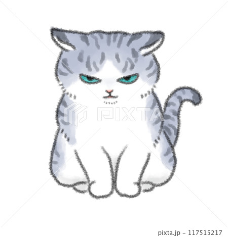 怒っている猫 117515217