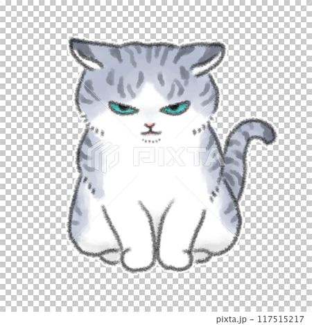怒っている猫 117515217