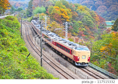 上越線　上牧ー水上　JR東日本　183系　OM102編成　上越線全通80th Aniversary 117515332