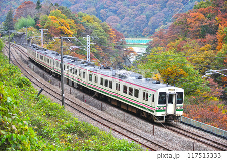 上越線　上牧ー水上　JR東日本　107系　R13編成（高崎） 117515333