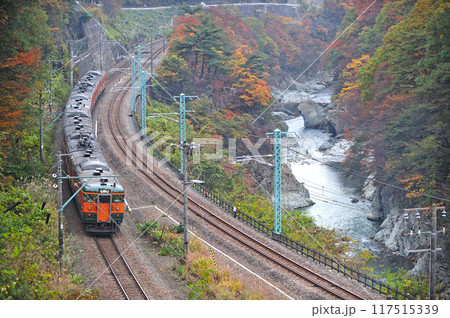 上越線　上牧ー水上　JR東日本　115系　T1046+T1043編成（高崎） 117515339