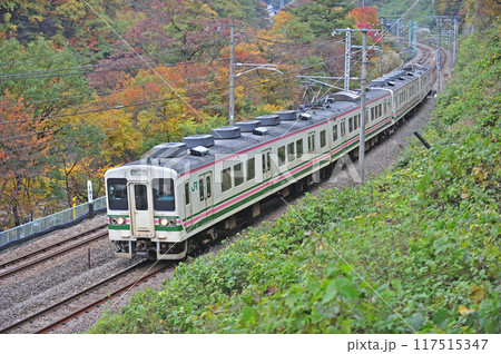 上越線 水上ー上牧 JR東日本 107系 R18編成(高崎) 上越線 水上ー上牧 JR東日本 107系 R18編成(高崎) 117515347