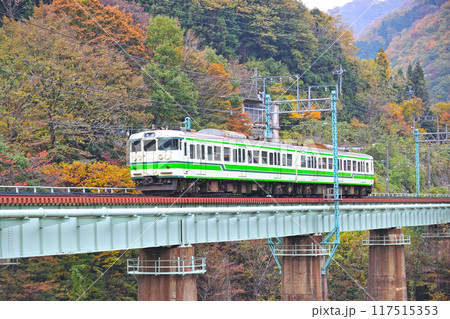 上越線　湯桧曽ー水上　JR東日本　115系　S1編成（新潟） 117515353