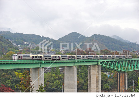 中央本線　鳥沢ー猿橋　JR東日本　215系（国府津）　ホリデー快速ビューやまなし 117515364
