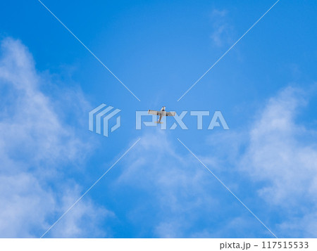 Small ultralight airplane with overhead wing and single propeller flying in sunset sky. 117515533