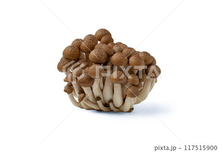 Brown shemegi, on a white background, raw, isolate, 117515900