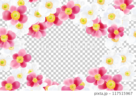 Autumn chrysanthemum flower card 6 117515967