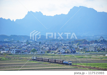 信越本線　磯部ー安中　JR東日本　EF65-501+旧客+EF64-38（高崎） 117515993