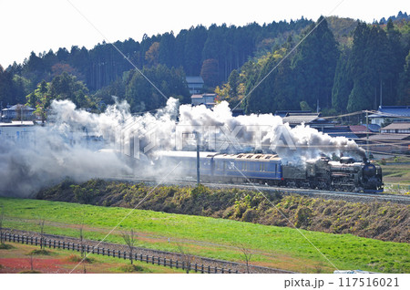 東北本線 山ノ目ー平泉 JR東日本 C61-20(高崎)+24系(青森) 試運転 東北本線 山ノ目ー平泉 JR東日本 C61-20(高崎)+24系(青森) 試運転 117516021