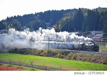 東北本線 山ノ目ー平泉 JR東日本 C61-20(高崎)+24系(青森) 試運転 東北本線 山ノ目ー平泉 JR東日本 C61-20(高崎)+24系(青森) 試運転 117516023