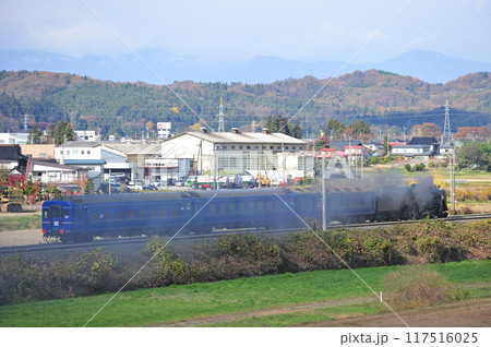 東北本線 山ノ目ー平泉 JR東日本 C61-20(高崎)+24系(青森) 試運転 東北本線 山ノ目ー平泉 JR東日本 C61-20(高崎)+24系(青森) 試運転 117516025