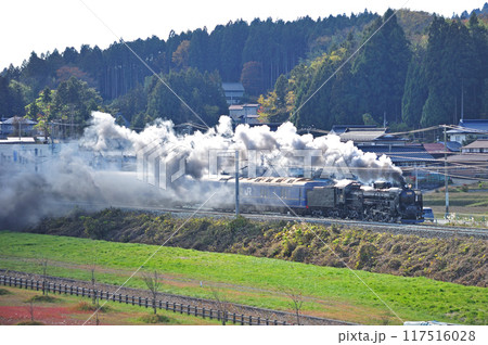 東北本線　山ノ目ー平泉　JR東日本　C61-20（高崎）＋24系（青森）　試運転 117516028