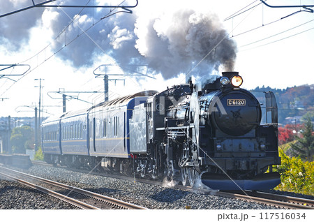 東北本線 前沢ー陸中折原 JR東日本 C61-20(高崎)+24系(青森) 試運転 東北本線 前沢ー陸中折原 JR東日本 C61-20(高崎)+24系(青森) 試運転 117516034