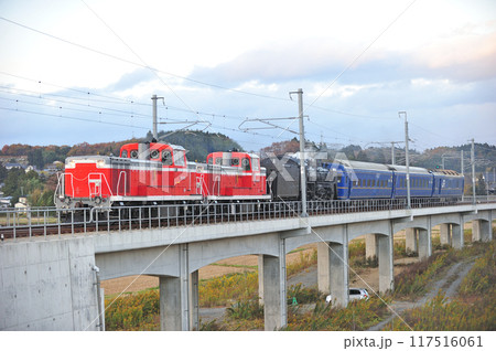 東北本線　前沢ー平泉　JR東日本　DE10-1765＋DE10-1761＋C61-20＋24系 117516061