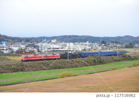 東北本線　平泉ー山ノ目　JR東日本　DE10-1765＋DE10-1761＋C61-20＋24系 117516062