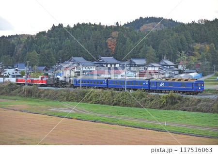 東北本線　平泉ー山ノ目　JR東日本　DE10-1765＋DE10-1761＋C61-20＋24系 117516063