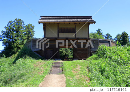 箕輪城跡　100名城　《群馬》 117516161