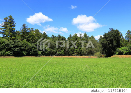 箕輪城跡 100名城 《群馬》 箕輪城跡 100名城 《群馬》 117516164