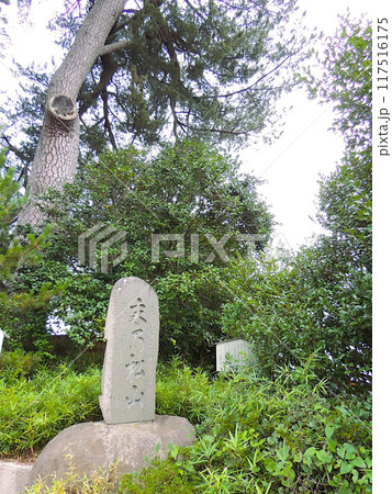 末の松山 117516175