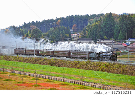 東北本線 平泉ー山ノ目 JR東日本 C61-20+旧客(高崎) 東北本線 平泉ー山ノ目 JR東日本 C61-20+旧客(高崎) 117516231