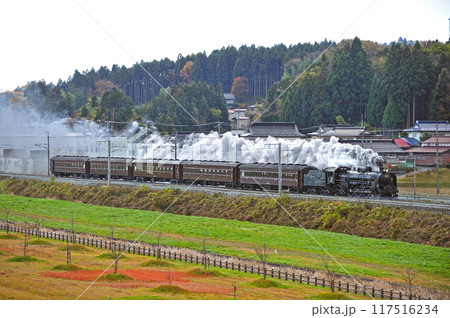 東北本線 平泉ー山ノ目 JR東日本 C61-20+旧客(高崎) 東北本線 平泉ー山ノ目 JR東日本 C61-20+旧客(高崎) 117516234