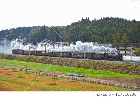 東北本線　平泉ー山ノ目　JR東日本　C61-20＋旧客（高崎） 117516236