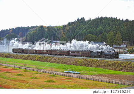 東北本線　平泉ー山ノ目　JR東日本　C61-20＋旧客（高崎） 117516237