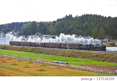 東北本線 平泉ー山ノ目 JR東日本 C61-20+旧客(高崎) 東北本線 平泉ー山ノ目 JR東日本 C61-20+旧客(高崎) 117516239