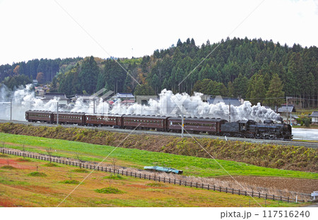 東北本線　平泉ー山ノ目　JR東日本　C61-20＋旧客（高崎） 117516240