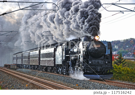 東北本線　前沢ー陸中折原　JR東日本　C61-20＋旧客（高崎） 117516242