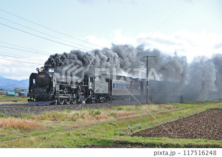 東北本線　水沢ー金ヶ崎　JR東日本　C61-20＋旧客（高崎） 117516248