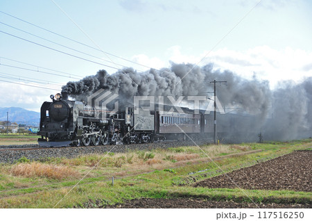 東北本線　水沢ー金ヶ崎　JR東日本　C61-20＋旧客（高崎） 117516250