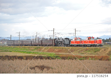 東北本線　水沢ー金ケ崎　JR東日本　DE10-1765＋DE10-1761＋C61-20+旧客 117516254