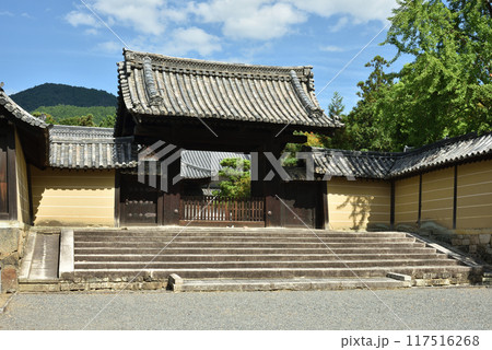 随心院門跡　薬医門　京都市山科区 117516268