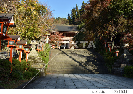 鞍馬寺　山門(仁王門)　秋　 117516333