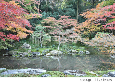 秋の南禅院　曹源池(京都市左京区) 117516589