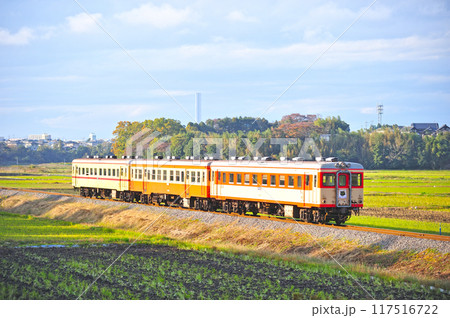 ひたちなか海浜鉄道　金上ー中根　キハ2005+キハ205+キハ2004 117516722