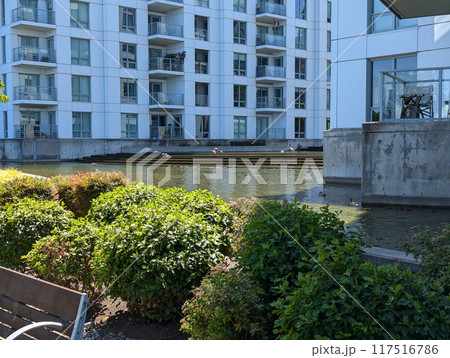 PORTLAND, OREGON, USA - 07.10.2024: Residential apartments on the banks of the Willamette River.  117516786