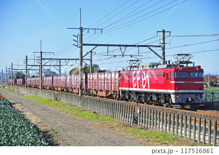高崎線 岡部ー深谷 JR東日本 EF81-95(田端) 高崎線 岡部ー深谷 JR東日本 EF81-95(田端) 117516861