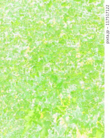 一面に広がる緑。イラスト風の写真。 一面に広がる緑。イラスト風の写真。 117517122