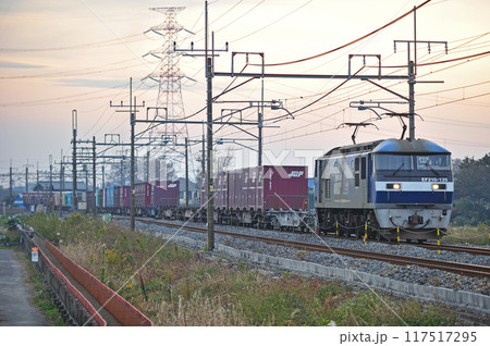 東北本線 東鷲宮ー栗橋 JR貨物 EF210-135(新鶴見) 東北本線 東鷲宮ー栗橋 JR貨物 EF210-135(新鶴見) 117517295