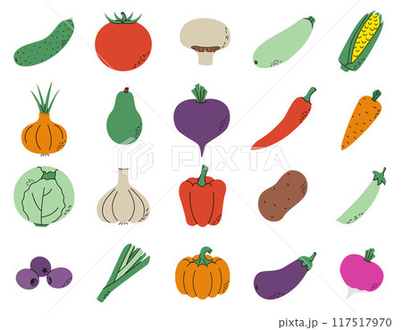 A collection of different vegetables 117517970