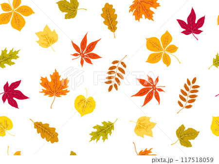 Pattern with autumn leaves. Background with various foliage. 117518059