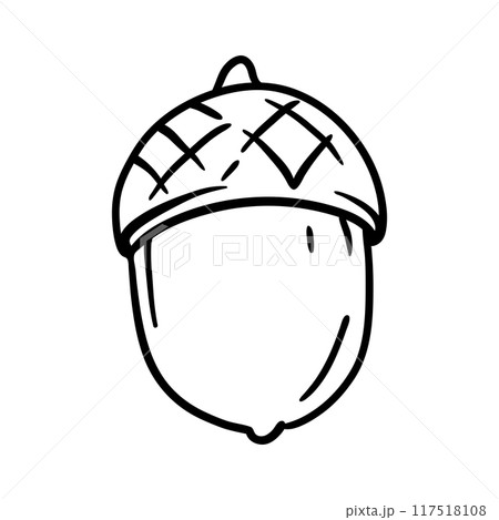 Acorn illustration. Autumn natural oak tree seed. Acorn illustration. Autumn natural oak tree seed. 117518108