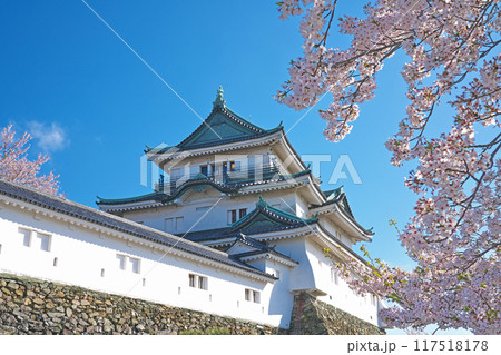 【和歌山城】 和歌山県和歌山市 117518178